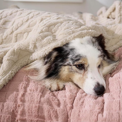 Bedsure Waterproof Dog Blankets - Image 5