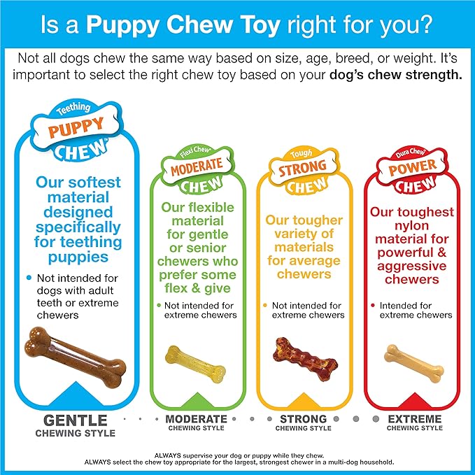 Nylabone New Puppy Starter Kit, 5 Chew Toys and 1 Natural Treat - Image 15
