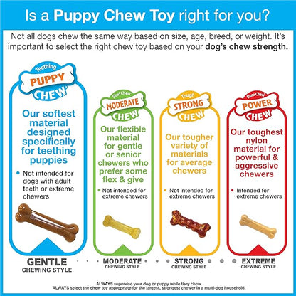 Nylabone Double Action Bone Puppy Chew Toy, Rubber Teething Toys - Image 10