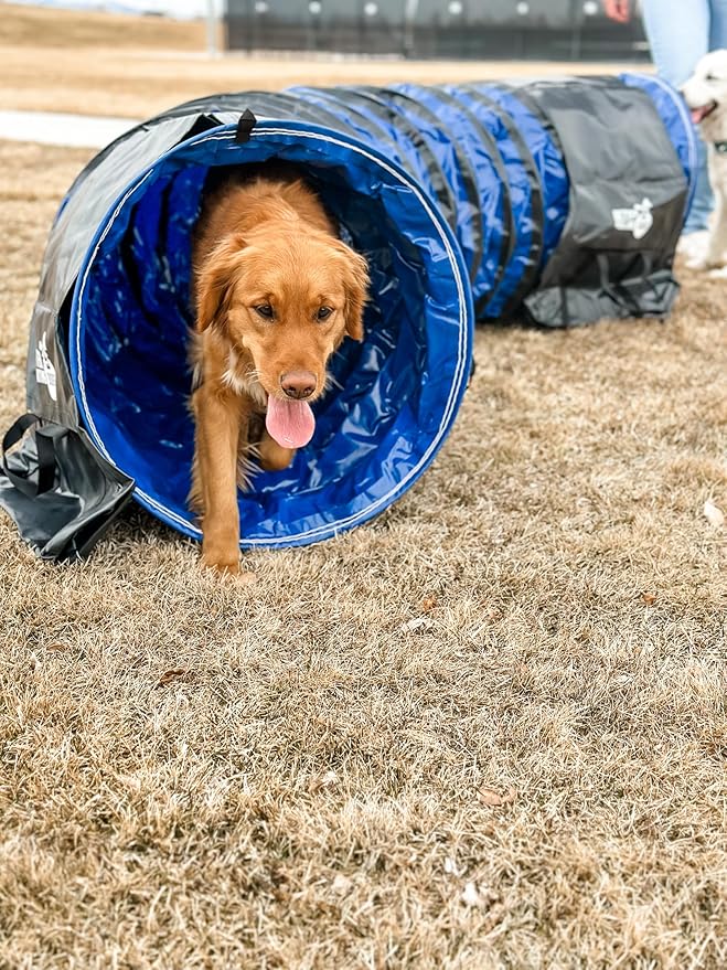 Better Sporting Dogs 10 Foot Heavy Duty PVC Tunnel - Image 4