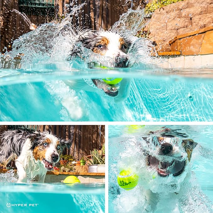 Hyper Pet Tennis Balls for Dogs - Image 4