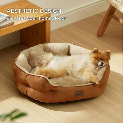 Bedsure Dog Beds for Small Dogs - Image 5