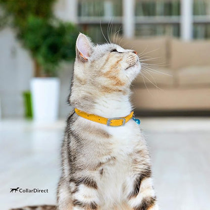 CollarDirect Leather Cat Collar, Cat Safety Collar - Image 7