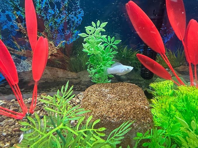Aquarium Stone for Natural Water Clarification and Odor Removal Featuring - Image 3