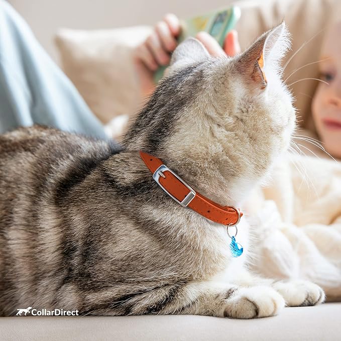 CollarDirect Leather Cat Collar, Kitten Collar - Image 7