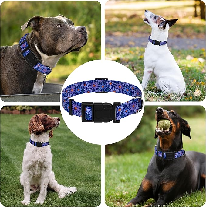 Dog Collar, Classical Indian Spirit Boys Girls Puppy Collar - Image 6