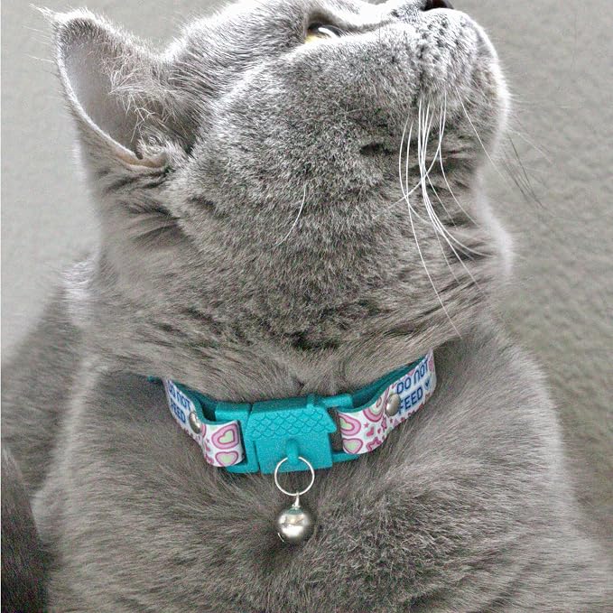 New Kittyrama No Feed Cat Collar - Image 4