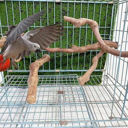 Allazone 4-Piece Bird Perch - Image 8