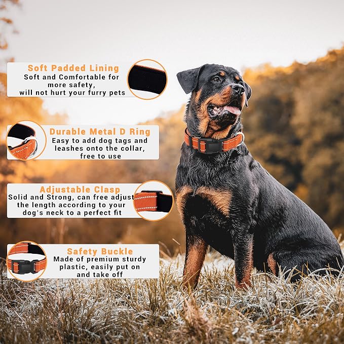 2 Pack Reflective Dog Collar - Image 2