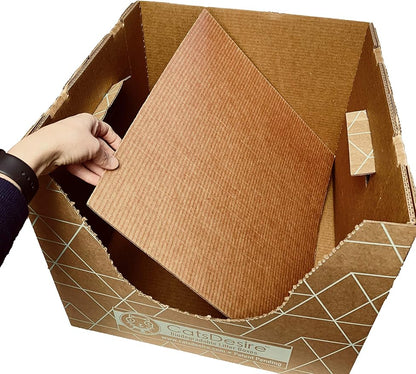Leakproof Disposable Cat Litter Box 3 Pack Top/Low Entry INCLUDES- 3 lids - Image 9