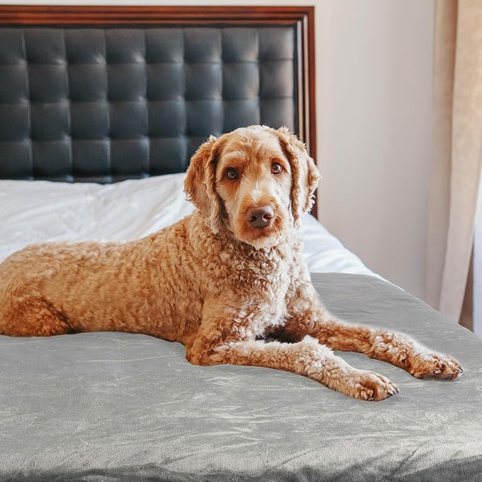 PETMAKER Dog Blanket - Image 8