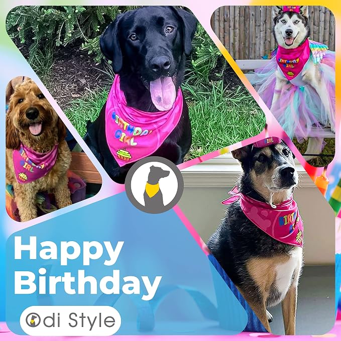 Dog Birthday Bandana - Image 5