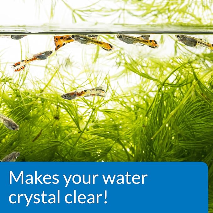 API ACCU-CLEAR Freshwater Aquarium Water Clarifier 4-Ounce Bottle - Image 5