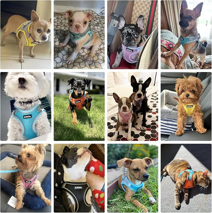AIITLE Dog Harness, No-Pull Cat Harness - Image 2