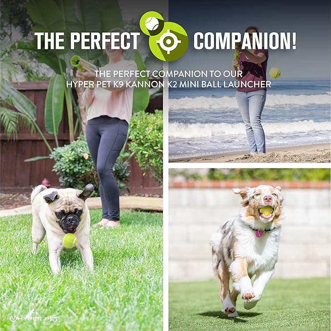 Hyper Pet Mini Tennis Balls for Dogs - Image 3