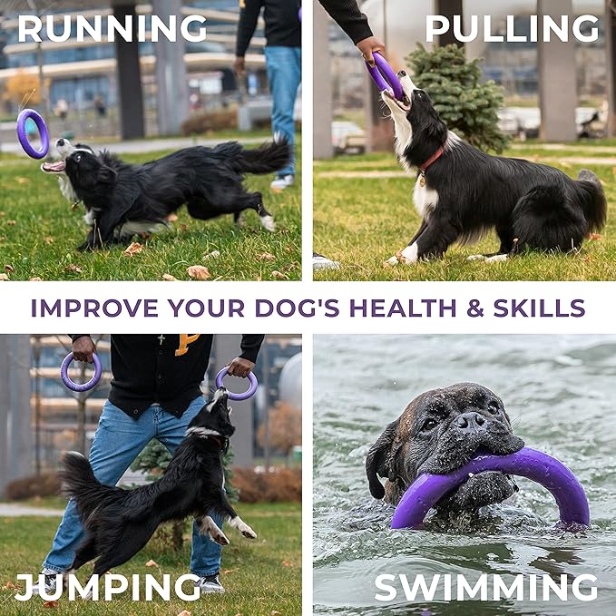Puller Outdoor Dog Ring Toys - Image 4
