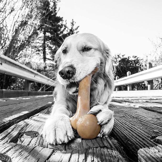 Pet Qwerks Dinosaur BarkBone - Image 3