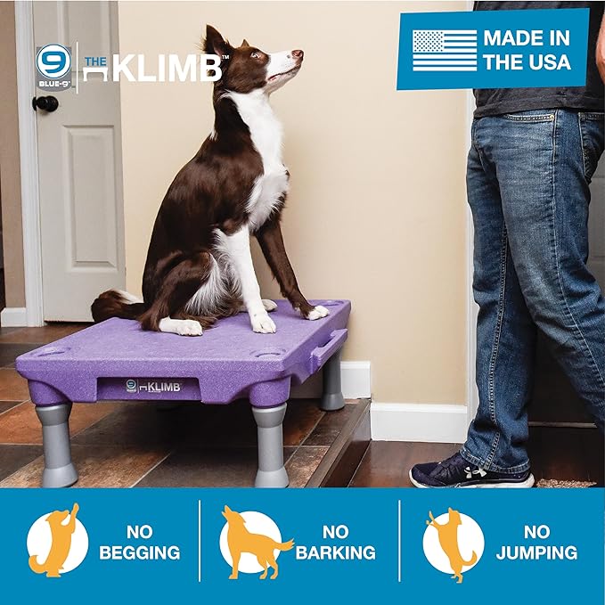 Blue-9 Pet Products KLIMB Dog Training Platform and Agility System, Durable and - Image 3
