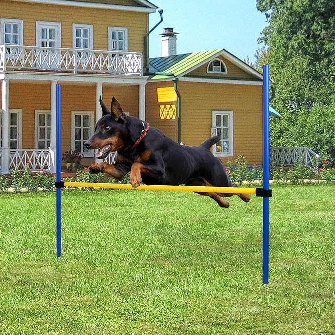 Pet Prime Dog Agility Training Equipment by PetPrime