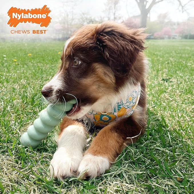 Nylabone Sensory Material Soothing Puppy Chew Toy Stick, Toys - Image 2