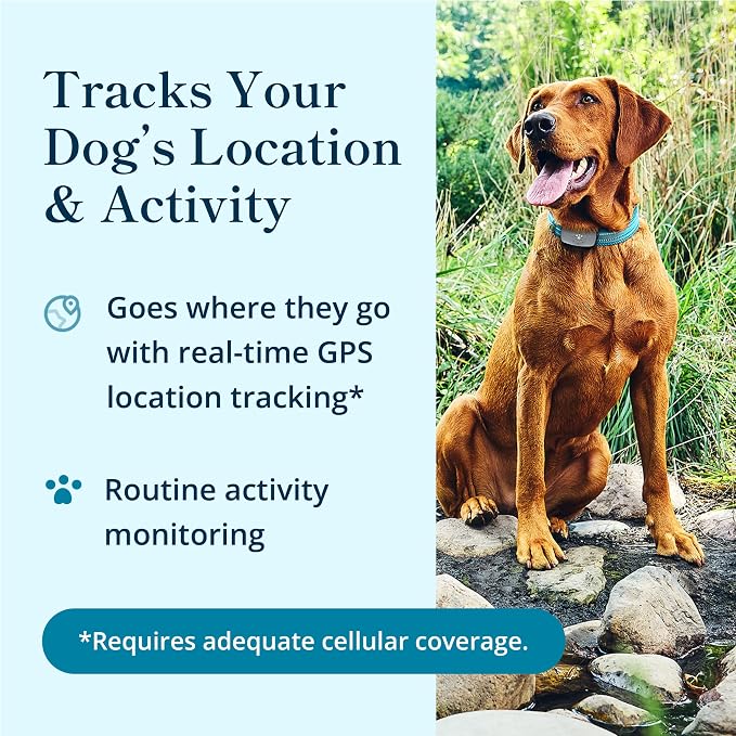 Petivity Smart GPS and Activity Pet Tracker - Image 2