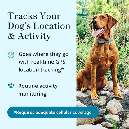 Petivity Smart GPS and Activity Pet Tracker - Image 2
