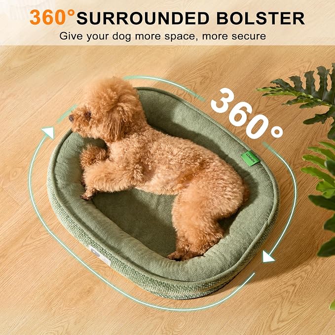 Orthopedic Cat Bed for Puppy & Kitten, Cat Sofa Bed - Image 5