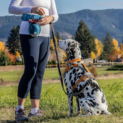 Kurgo G-Train Dog Carrier Backpack - Image 2