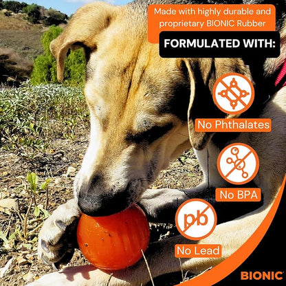 BIONIC Ball Dog Toy, Large - Image 4