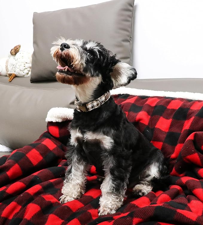 Unique style paws Dog Collar Metal Buckle Gift - Image 4