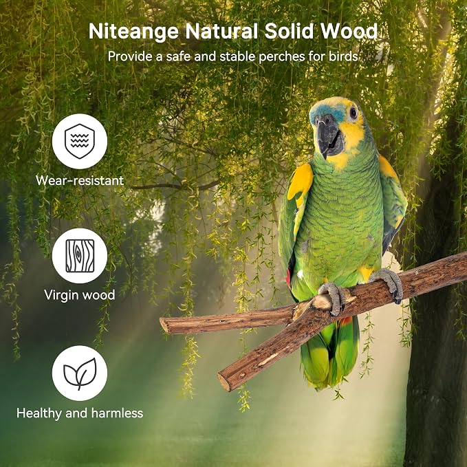 Niteangel Natural Wooden Perches - Image 4