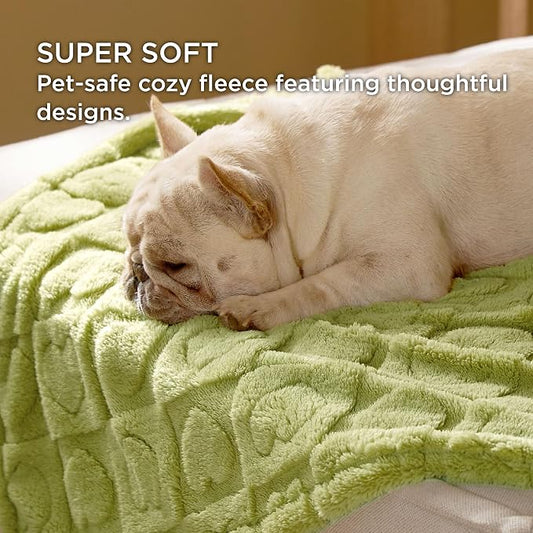 Bedsure Dog Blanket for Small Dogs Washable - Image 2