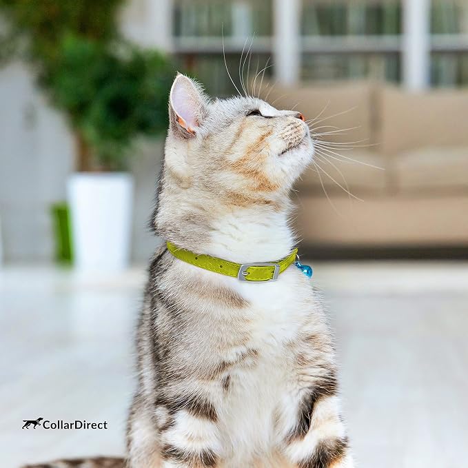 CollarDirect Leather Cat Collar, Kitten Collar - Image 7