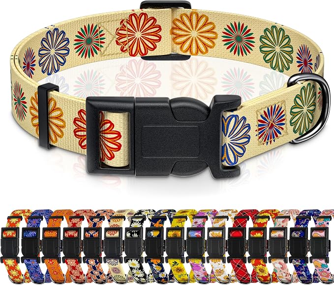 Dog Collar, Classical Indian Spirit Boys Girls Puppy Collar by Seyezo