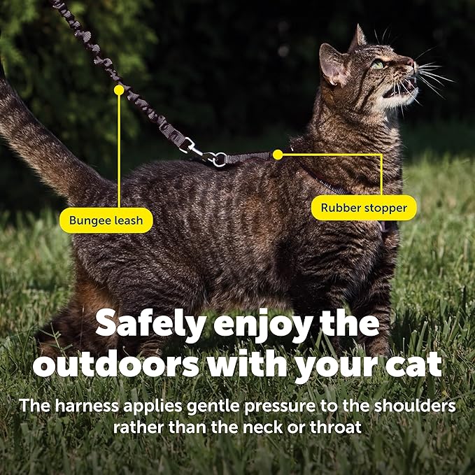PetSafe Come with Me Kitty Harness and Bungee Leash - Image 4