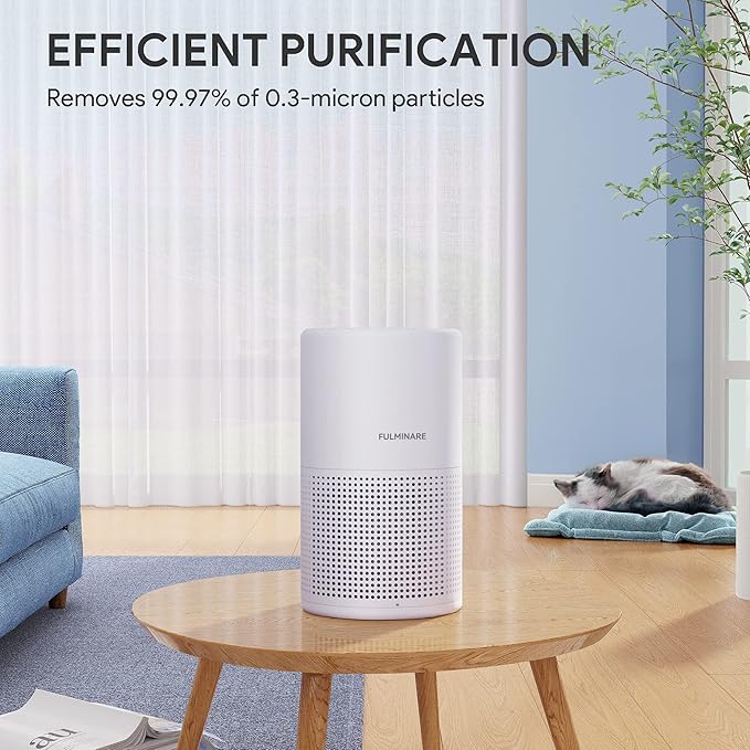 FULMINARE Air Purifiers for Bedroom H13 True HEPA Air Filter Quiet Air Cleaner - Image 7