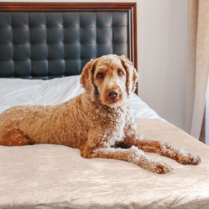 PETMAKER Dog Blanket - Image 8