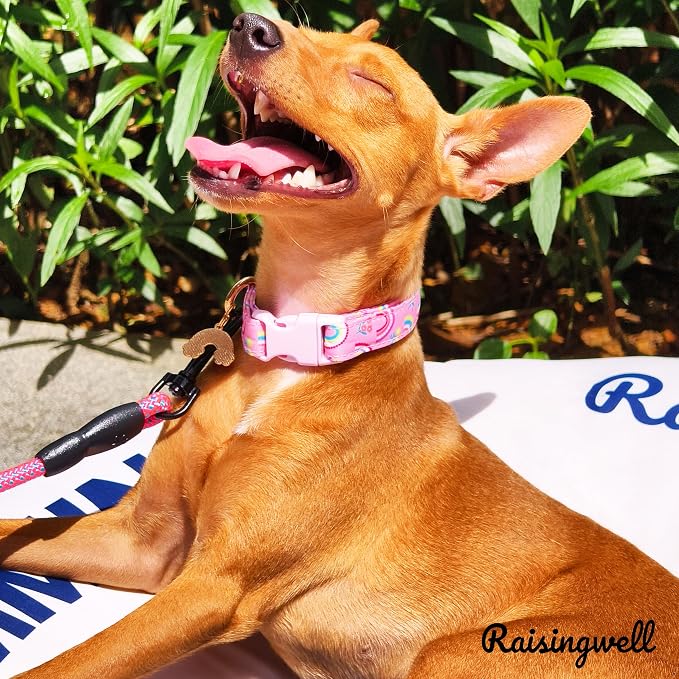 Cute Dog Collar Rainbow Pattern - Image 5