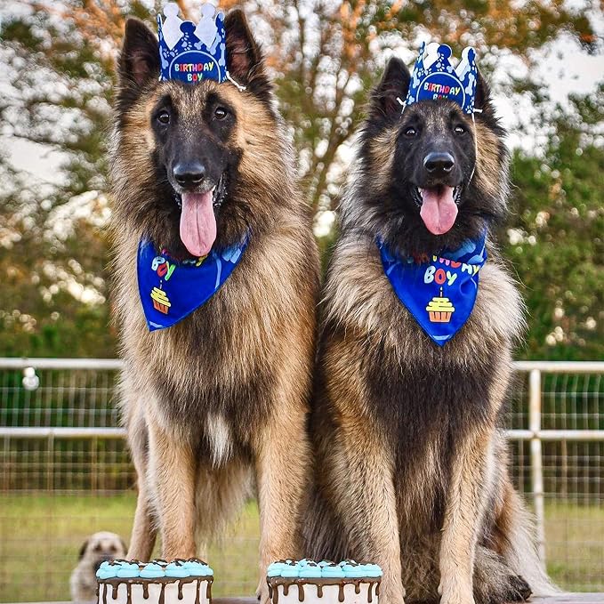 Dog Birthday Party Supplies - Image 7