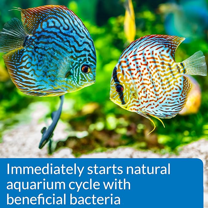 API QUICK START Freshwater and Saltwater Aquarium Nitrifying Bacteria 16-Ounce - Image 5