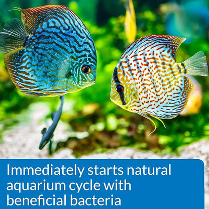 API QUICK START Freshwater and Saltwater Aquarium Nitrifying Bacteria 16-Ounce - Image 5