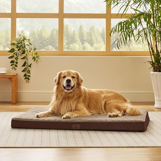 Bedsure XL Dog Beds Large Sized Dog -Comfy Flat Extra Large Pet Beds by BEDSURE