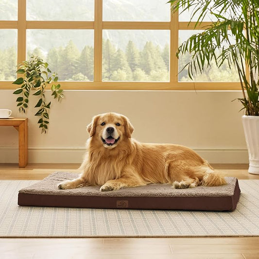 Bedsure XL Dog Beds Large Sized Dog -Comfy Flat Extra Large Pet Beds by BEDSURE