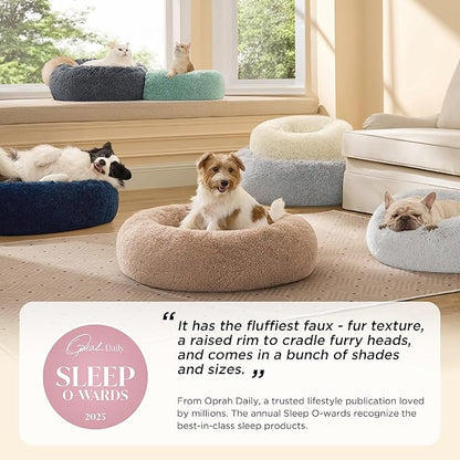 Bedsure Calming Cat Beds for Indoor Cats - Image 2