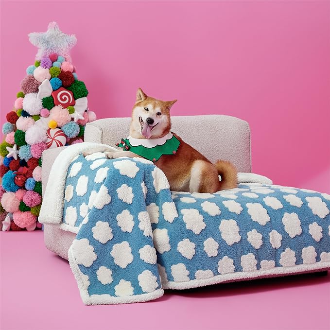 LE SURE Waterproof Dog Blanket for Large Dogs by Lesure