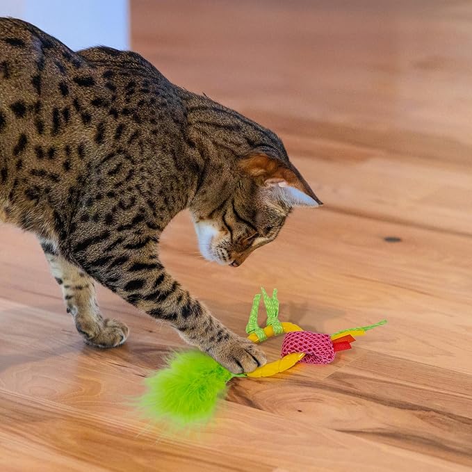 Catstages Dental Pineapple Teether – Chew Toy - Image 6