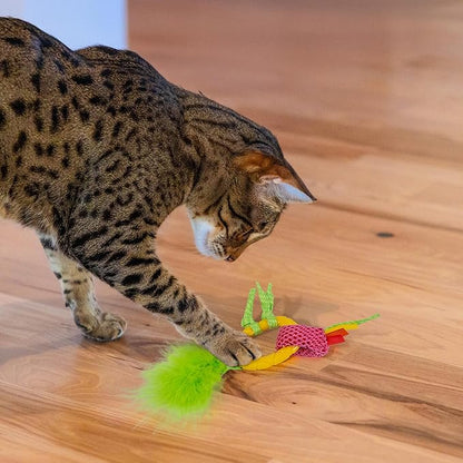 Catstages Dental Pineapple Teether – Chew Toy - Image 6