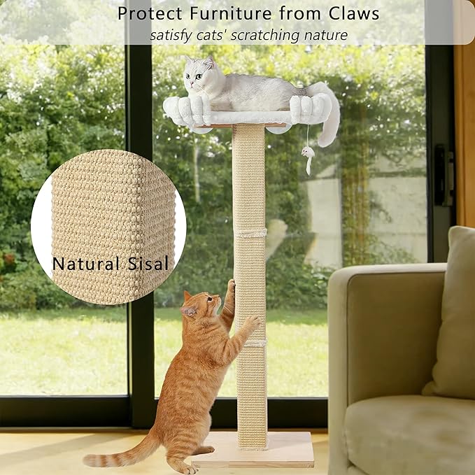 Cat Scratching Post with Large Window Perch - Image 5