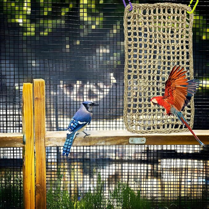 Large Bird Seagrass Mat 24 × 14 ''Natural Seagrass Woven Bird Net Hammock - Image 7