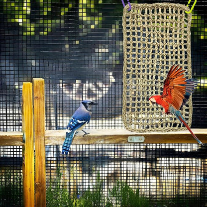 Large Bird Seagrass Mat 24 × 14 ''Natural Seagrass Woven Bird Net Hammock - Image 7